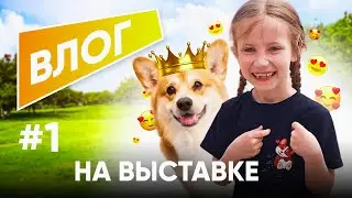 ПЕРВЫЙ ВЛОГ 🤩 на выставке собак  #кудасходить #сдетьми #kiraonline