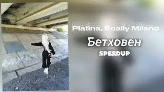 Платина, Scally Milano - Бетховен (SPEEDUP)