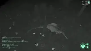 The Isle Galli 1 vs 2 Allos