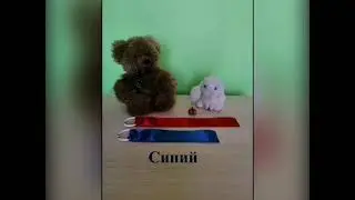 Путешествие зайчика. Познавательное развитие
