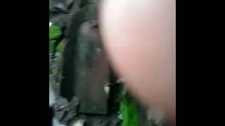 Kucingq
