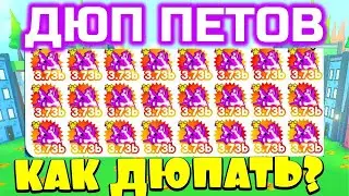 Как Дюпать Петов в Pet Simulator X !?