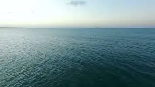 A tribute to the majestic sea is 