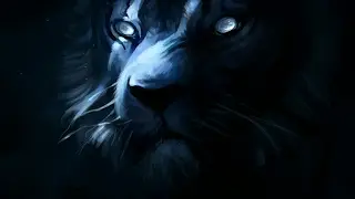 Без названия