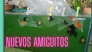 LA SORPRESA DE PABLO