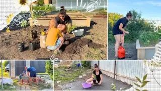 НАЧАЛИ СОЗДАВАТЬ ЦВЕТНИК/ ИЗБАВЛЯЮСЬ ОТ ТЛИ/ ПОСАДИЛИ ГОЛУБИКУ/ ПРОДОЛЖАЕМ РАЗБИРАТЬ УЧАСТОК