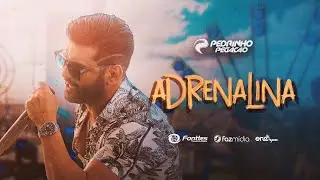 Pedrinho Pegação | Adrenalina | DVD #Adrenalina