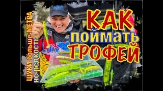 Как ПОЙМАТЬ ТРОФЕЙ всей своей ЖИЗНИ! Как ловить трофейную ЩУКУ. На что ловить щуку.СЕКРЕТЫ ЛОВЛИ ЩУК