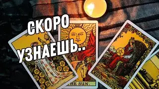 💥The Unexpected Truth You Will Discover💯The Secret Will Be Revealed.. ⁉️Tarot Reading Tarot Nemo