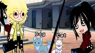 When l see 🐱Cat Vs Dog🐶