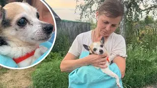 He has poor eyesight and eats very little. Let's meet old lady Stesha!