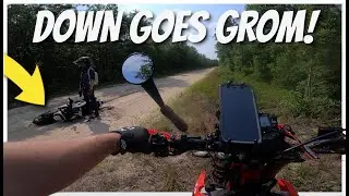 #MTBPlanB Beta 390 and GROM Dual sporting deep sand in North Carolina's largest State Forest!