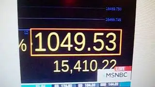 STOCK MARKET COLLAPSE AUGUST 24, 2015