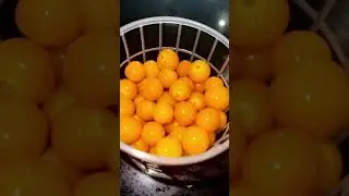 Gooseberry anti-inflammatory @waheeda shakil