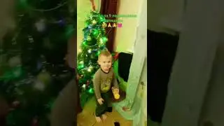 13 ноября 2023 г.