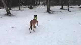 Alfonso without lead for the first time