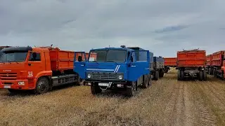 Flights, lots of flights))) A Kamaz truck enters the lift. Harvest 2022! (No. 6)