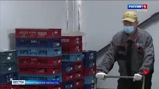 Вести   Вологодская область ЭФИР 28 06 2021