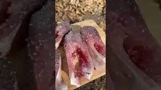 Жареная рыба с салатом на природе