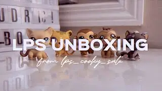 An lps haul to avoid posting my lps series Small Change, Big Difference