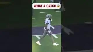 WHAT A CATCH By Kyle Williams 🤯🔥 