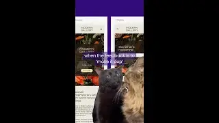 when the feedback is to make it pop