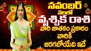 నవంబర్  2024 వృశ్చిక రాశి |#Vruschika rasi NOVEMBER 2024 | NOVEMBER SCORPIO RASI PHALALU 2024|#NOVEM