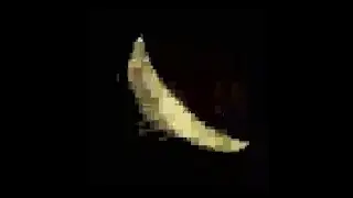 chip but it's even worse quality