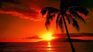 Never Forget, Dance Music, House Music, Ibiza, Trance, EDM, Mmj