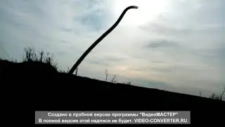 последний коп 2019