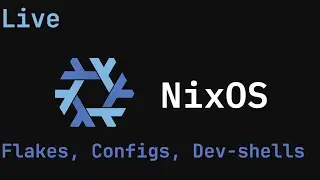 NixOS Configuring - Flakes,Configs,Dev Shells and profiles