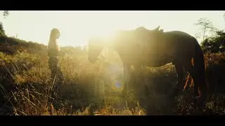 Stephie et Indi - vidéo équestre ( Nikon z6 III cinematic vidéo )