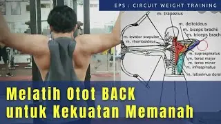 Latihan Beban untuk Kekuatan Memanah  PART 2