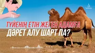 Түйенің етін жесе дәрет жаңалау керек пе...