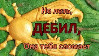 Вангеры и БУЛДЖАТь - Игра СЛОМАЛА блогера