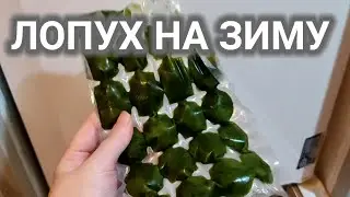 СОК ЛОПУХА ПОЛЬЗА. ЗАГОТОВКА НА ЗИМУ.