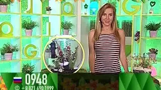 Татьяна Козина - "Счастливый час" (09.07.16)