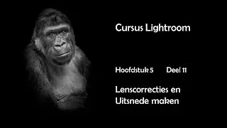 Hfdst. 5 Deel 11 Lenscorrecties en uitsnede maken