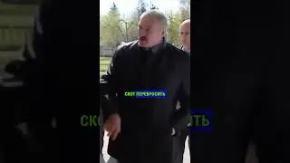 ЛУКАШЕНКО НАКАЗАЛ СБРЕНДИВШИХ ЧИНОВНИКОВ #лукашенко #политика #россия