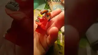 скреп беби