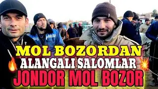 BUXORO JONDOR/MOL BOZOR/ONA BOLA SIGIR NARXLAR 11.12.2022/JONDOR UZ