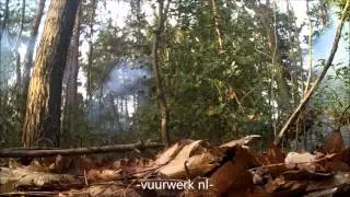 nitrate FP3 (poland) mat making and contrast on the tree +  slow motion