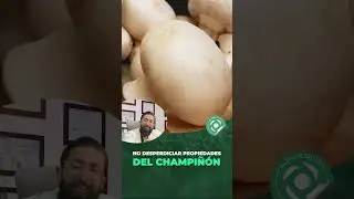 Champiñón Rico en Fibra - Conferencia # 76 Contra las Enfermedades - Dr Benjamín (fragmento)