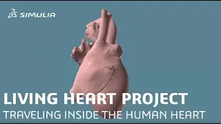 The Living Heart Project: Traveling Inside a Human Heart