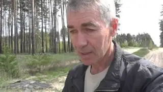 Чем питаются растения