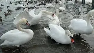 Последние выходные 2021! Проводим год весело и приятно!