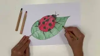 How to draw a ladybug. We draw a ladybug with colored pencils. drawing lesson for children.