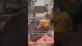The most dangerous waters in the world