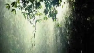 Relaxing Rain Music With Harp