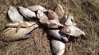 Первая ловля по открытой воде! 